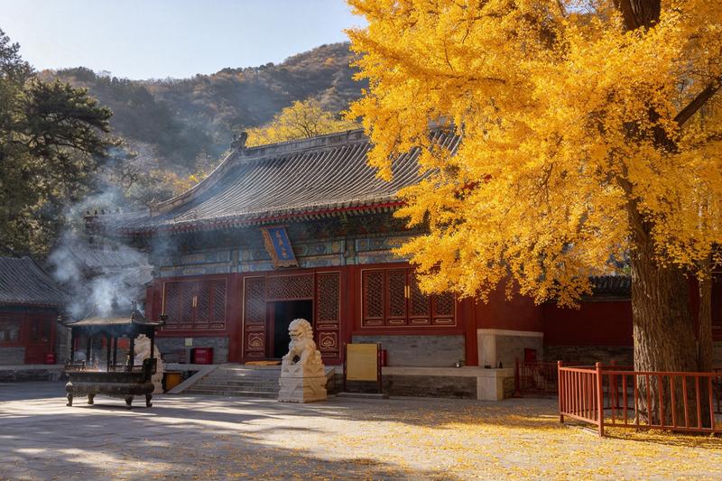 京郊潭柘寺